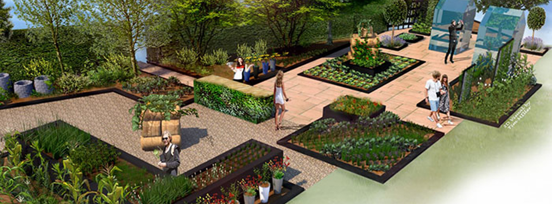 Experts tips on an edible garden Hero Image