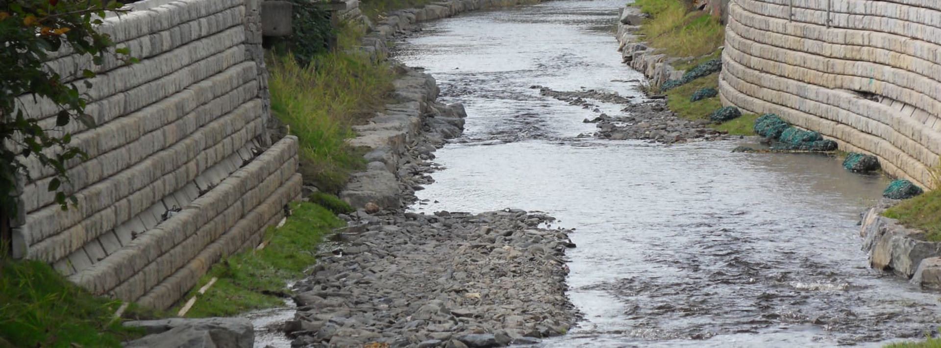 Flood protection walling next to a stream