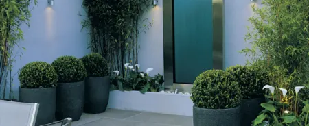 Greenery displayed in a garden patio.